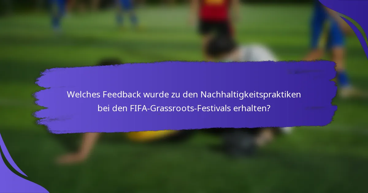 Welches Feedback wurde zu den Nachhaltigkeitspraktiken bei den FIFA-Grassroots-Festivals erhalten?